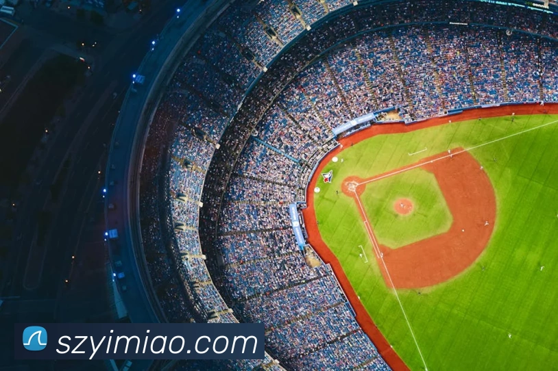 开云app入口注册平台生态图